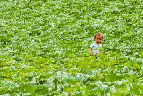 Mae Hong Son (REP128-25061)