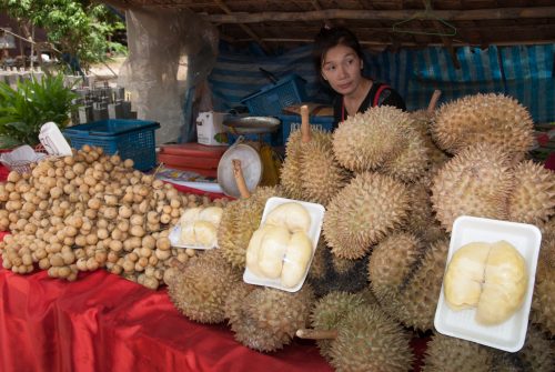 Mae Hong Son (REP128-25091)