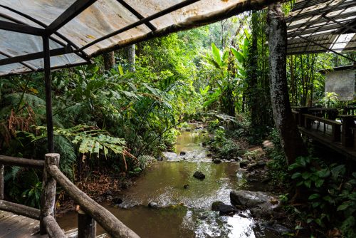 Mae Kapong (REP128-100944)