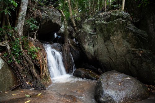 Mae Kapong (REP128-100949)