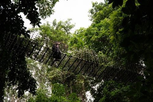 Mae Kapong (REP128-100961)