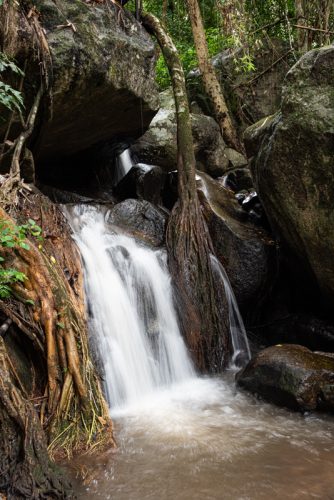 Mae Kapong (REP128-100969)