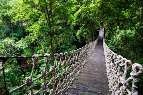 Mae Kapong (REP128-100973)