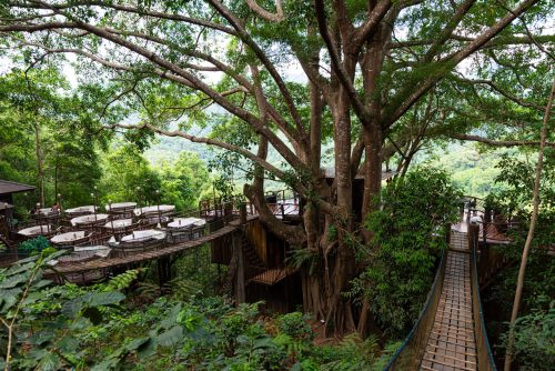 Mae Kapong (REP128-101521)