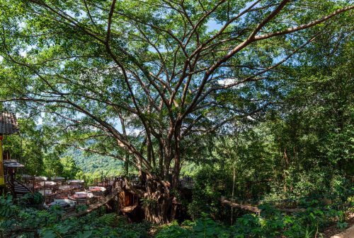 MaeKampong (REP128-101467)