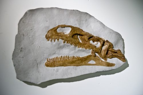 Musée de Lucerne (REP114-37362)