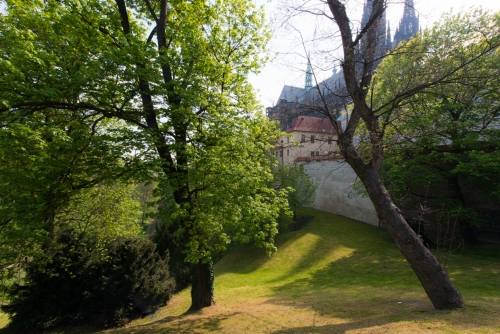 Parc du Chateau de Prague (REP082_50089)