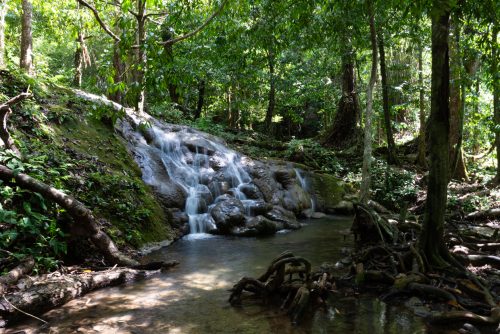 Phang Nga parc de Sa Nang Manora (REP146-100617)