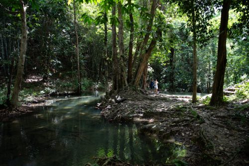 Phang Nga parc de Sa Nang Manora (REP146-100620)