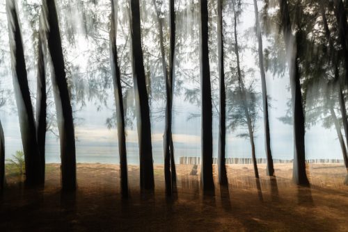 Plage du temple Wat Tha Sai (REP146-100111)