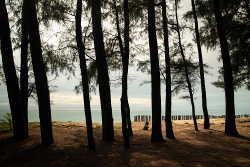 Plage du temple Wat Tha Sai (REP146-100127)