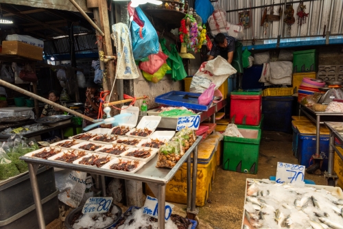 Poisson séché, marché de Maeklong (REP127_89980)