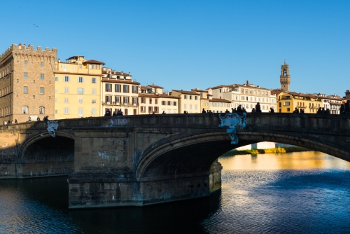 Ponte Santa Trinita Florence (REO088-64946)