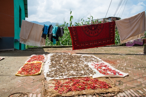 Séchage des piments Bhaktapur (REP079-53626)