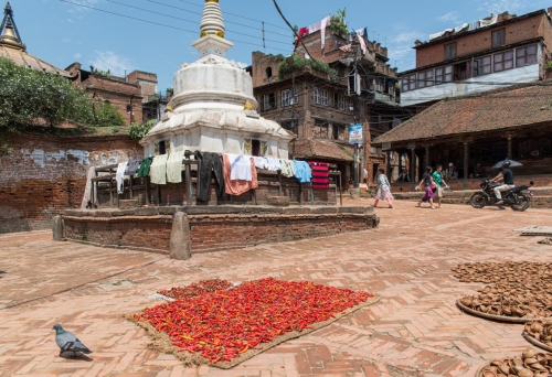 Séchage des piments et terres cuites Bhaktapur (REP079-53602)