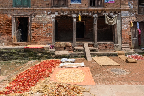 Séchage des piments et terres cuites Bhaktapur (REP079-53639)