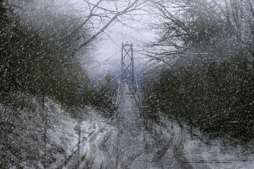 Sharon Tenenbaum Lions Gate Bridge