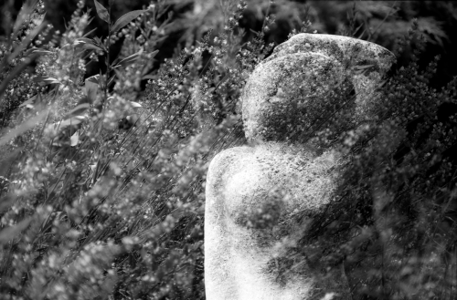 Statue dans le jardin de Jean Giono (REP010_3061)