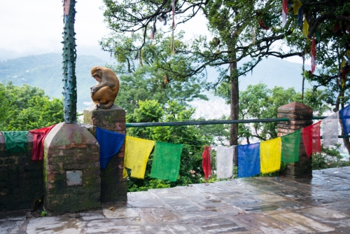 Temple Swayambhunath Katmandou (REP080_52172)