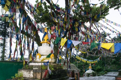 Temple Swayambhunath Katmandou (REP080_52202)