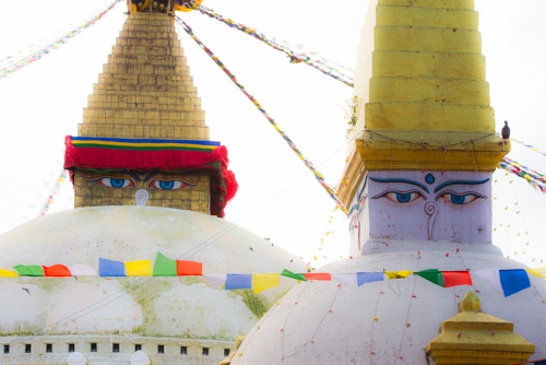 Temple Swayambhunath Katmandou (REP080_55090