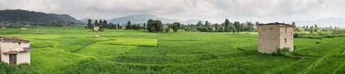 Vallée fertile de Bhaktapur (REP079-53787)