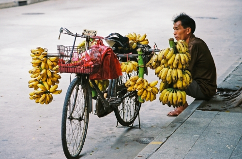 Vendeur de bananes Canton (REP053-00559)