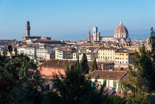 Vue de Florence (REP088-65194)